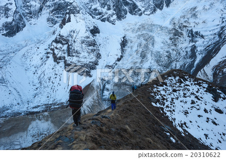 Trekkers walking on the ridge in Himalayas 20310622