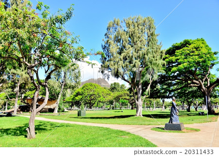 Holidays in Hawaii 20311433