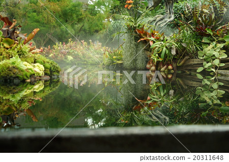 Singapore Singapore 20311648