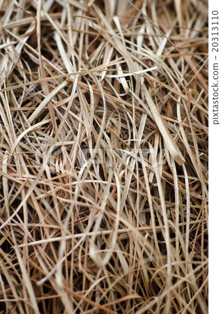 Close up bird net texture 20313110