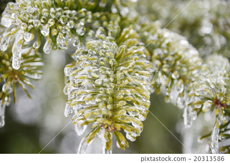 Rain ice Rain ice 20313586