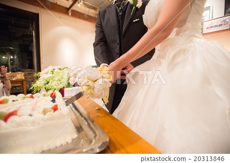 Cake cut Cake cut 20313846