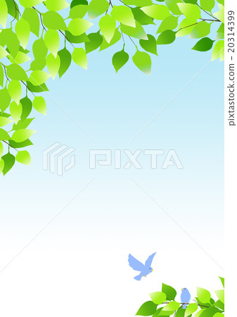 藍色鳥和樹背景 藍色鳥和樹背景 20314399