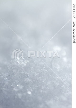 雪花 20314464