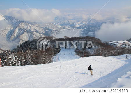 Shimoyama Course of Gala Yuzawa Falcon Top 20314553