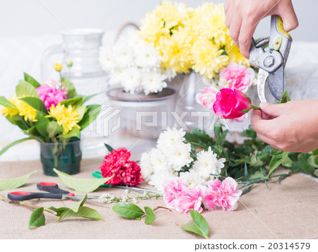 Hands of person holding flower on table of flower. Hands of person holding flower on table of flower. 20314579