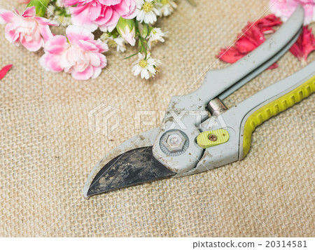 Scissor on table of flowers arrangement. Scissor on table of flowers arrangement. 20314581
