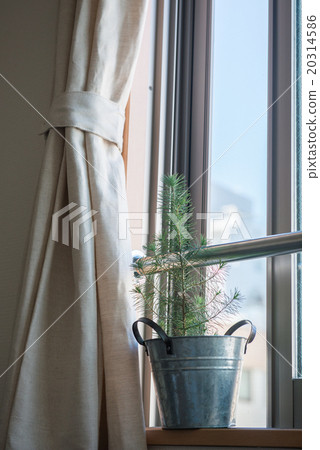 Green on the window side 20314586