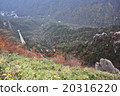 禦在所山 20316220