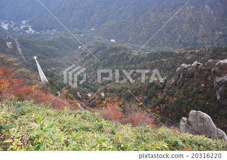 禦在所山 禦在所山 20316220