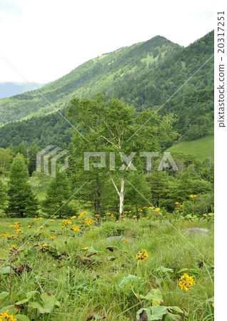 Kaori mountain plateau 20317251