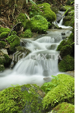 Origin flowing through Kasatoriyama 20317262