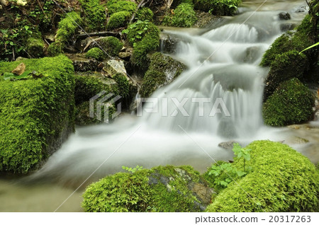 原產地流經Kasatoriyama 20317263