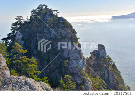picturesque rocks with pines picturesque rocks with pines 20317561