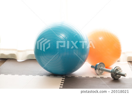 Balance ball and dumbbell Balance ball and dumbbell 20318021