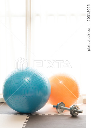 Balance ball and dumbbell Balance ball and dumbbell 20318023