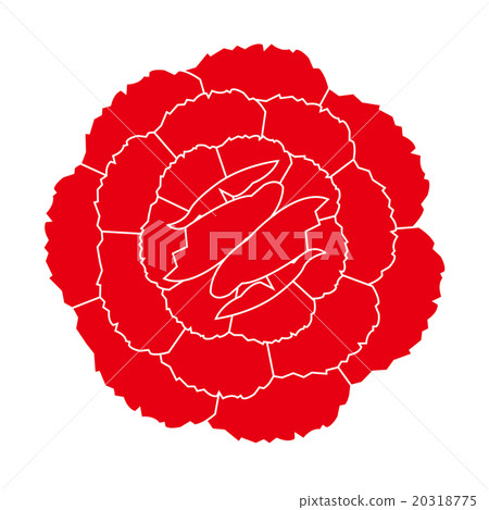 Illustration Carnation 20318775