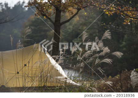 Camping by the lake 20318936