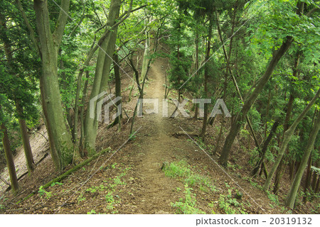 Mountain trail of Oku Musashi Nikozan Mountain trail of Oku Musashi Nikozan 20319132