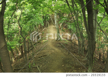 Mountain trail of Oku Musashi Nikozan Mountain trail of Oku Musashi Nikozan 20319133