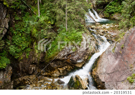 Waterfall with stones in forest, Sea Eye, Zakopane 20319531