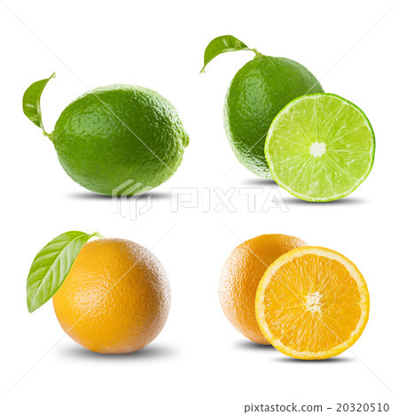Fresh Set of Citrus Fruits on White Background Fresh Set of Citrus Fruits on White Background 20320510