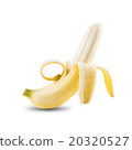 Fresh Banana Fruit On White Background 20320527