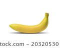 Fresh Banana Fruit On White Background 20320530
