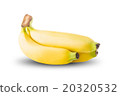 Fresh Banana Fruit On White Background 20320532
