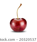 Fresh Cherry On White Background 20320537