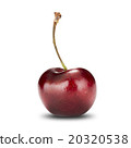 Fresh Cherry On White Background 20320538