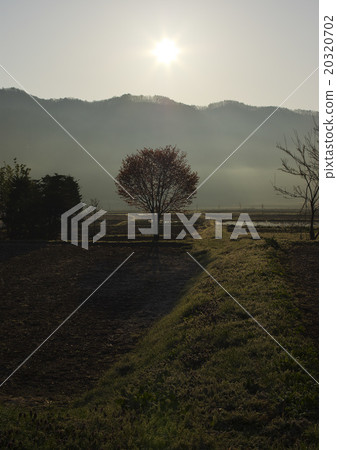 Morning rural scenery Morning rural scenery 20320702