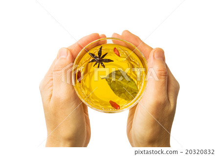 Healthy medicine tea tea herb tea which becomes beautiful 20320832