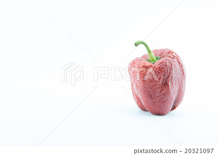 Wither red pepper, isolated on white. 20321097