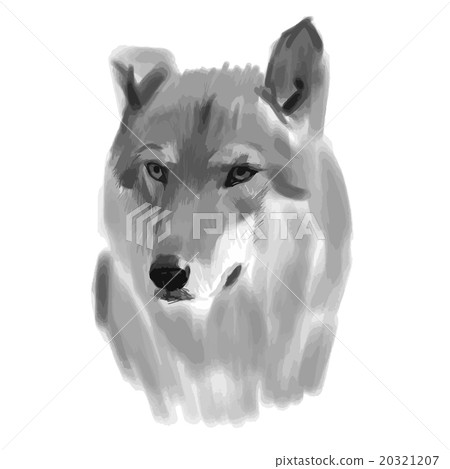 Vector sketch of a wolf face 20321207
