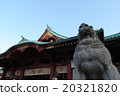 神田肌球蛋白 20321820
