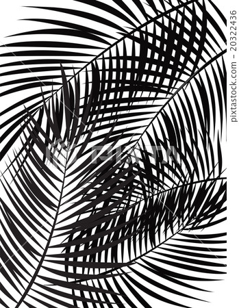 Palm Leaf Vector Background Illustration Palm Leaf Vector Background Illustration 20322436
