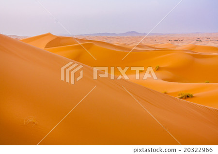 Dune layers 20322966