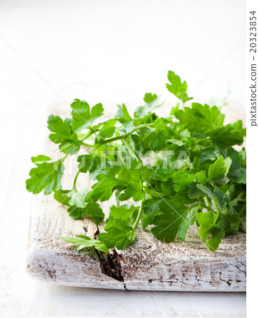 Organic fresh Parsley on grey wooden background Organic fresh Parsley on grey wooden background 20323854
