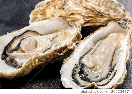 牡蠣 20325477