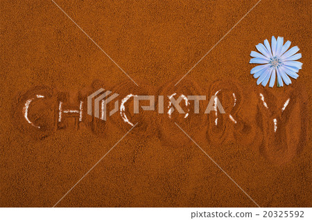 Blue chicory flower and powder of instant chicory Blue chicory flower and powder of instant chicory 20325592