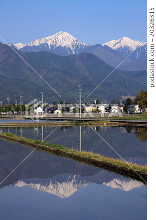 北阿爾卑斯山希望從安曇野 北阿爾卑斯山希望從安曇野 20326315