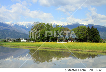 北阿爾卑斯山希望從安曇野 北阿爾卑斯山希望從安曇野 20326323