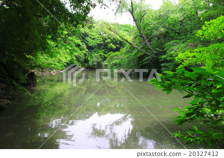 Sanshiro pond Sanshiro pond 20327412