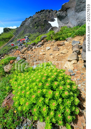Iwabenkei's flower and Chokai mountain peak Iwabenkei's flower and Chokai mountain peak 20327659