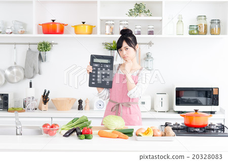 家庭主婦（食品費） 20328083