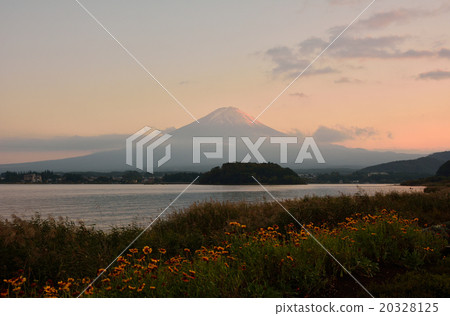 富士山（黃昏景觀）大石公園山梨縣 20328125