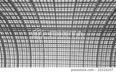 Glass roof pattern. 20328207