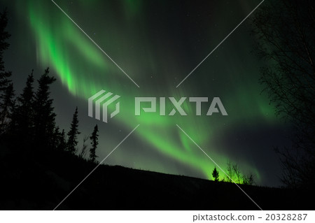 奧羅拉中國溫泉度假村阿拉斯加 20328287