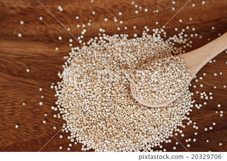 藜 20329706